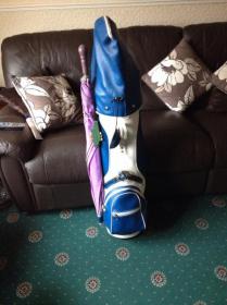 Ping golf clubs