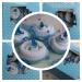 Baby Cupcakes in gift box