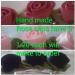 Rose hair clips